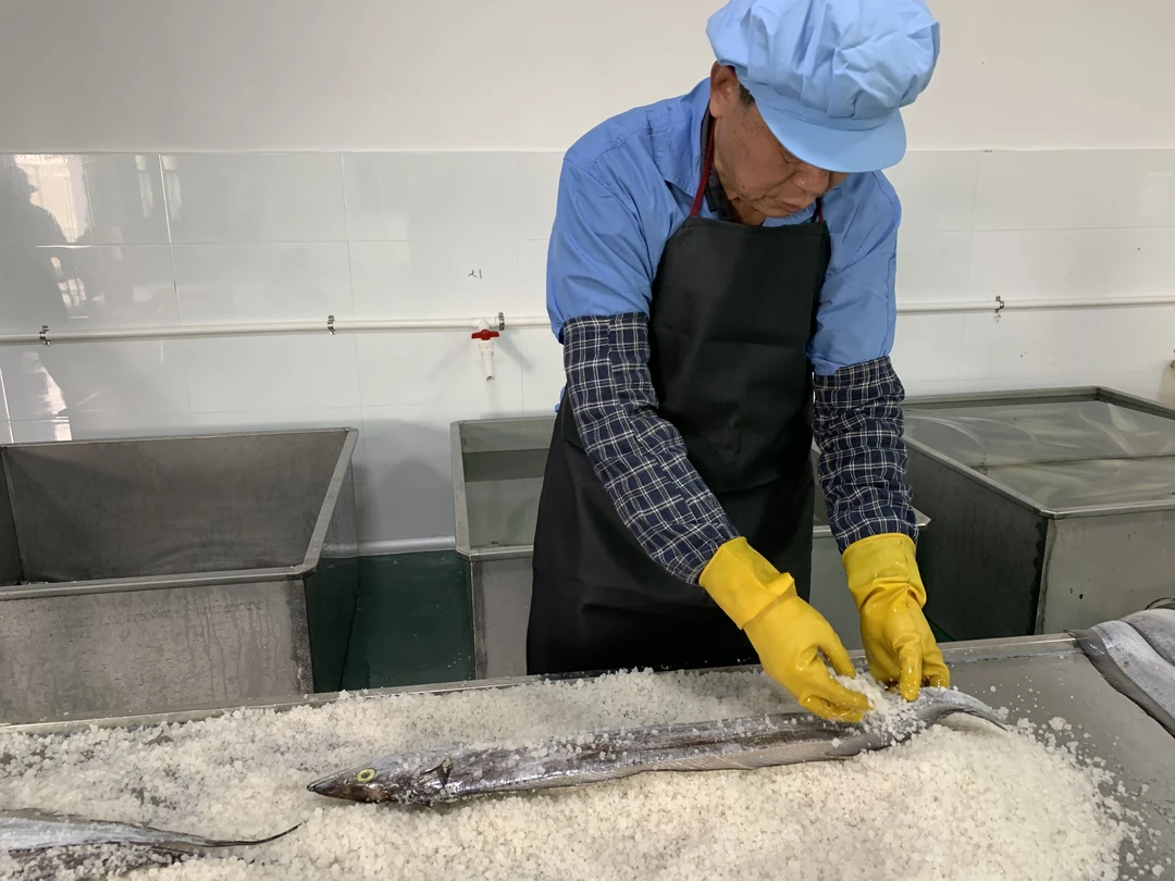 广东台山带鱼干 整条称重1.2斤以上