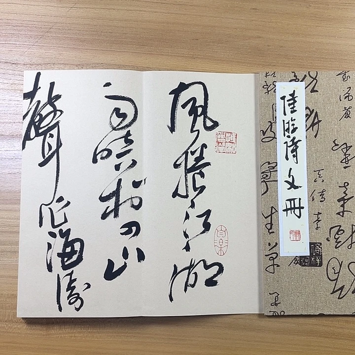 书法中书协会员作品