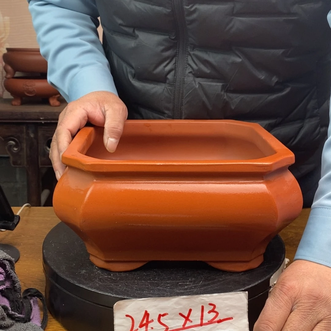 红陶货号一只CJ08