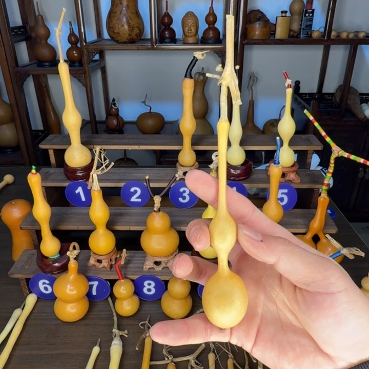 天***）精品杆子老皮周正