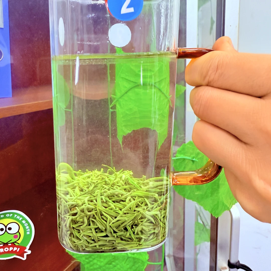 2025新茶高山毛尖绿茶直条形毛尖清香型绿茶小芽毛尖茶叶