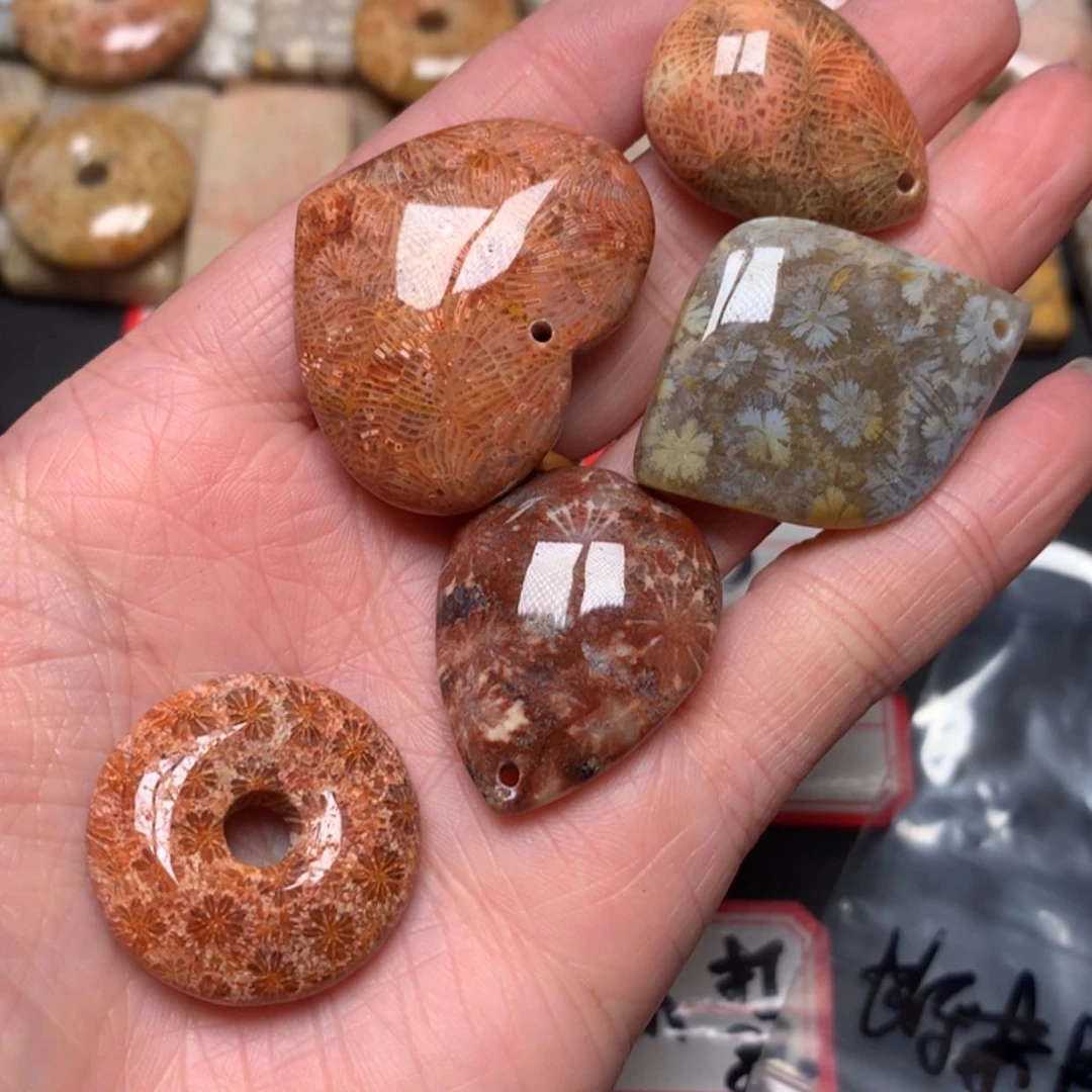 【闪购商品】硅化玉颈饰未镶嵌