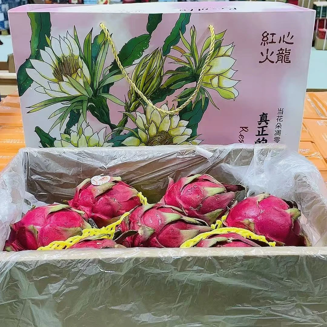 【礼盒装】海南红心火龙果一箱8颗左右带箱6斤左右  只发山西省内