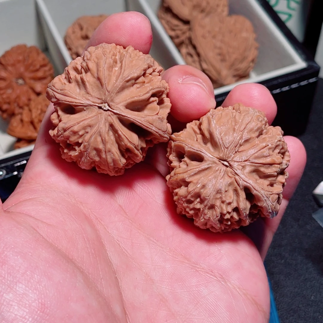 41全品山地红皮果