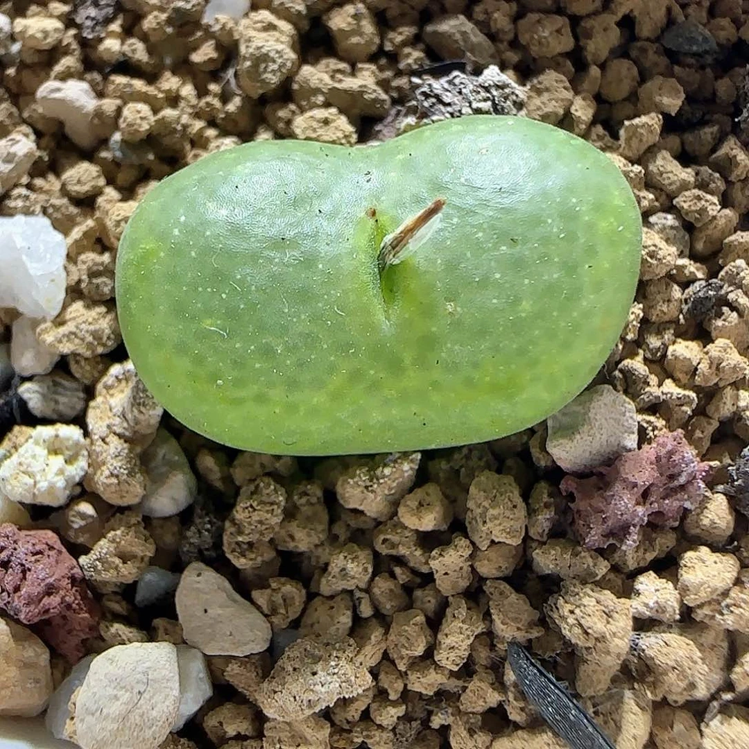 哈哈哈哈哈哈哈58181