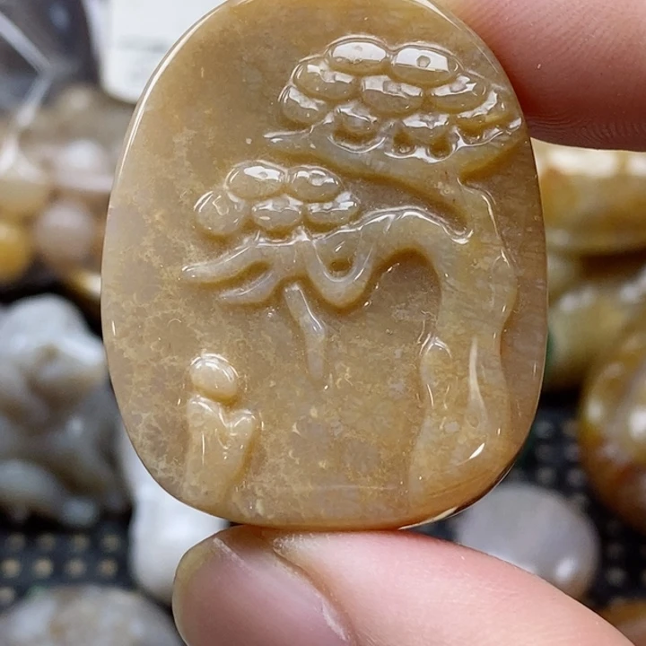 硅化珊瑚（珊瑚玉）颈饰未镶嵌小吊坠