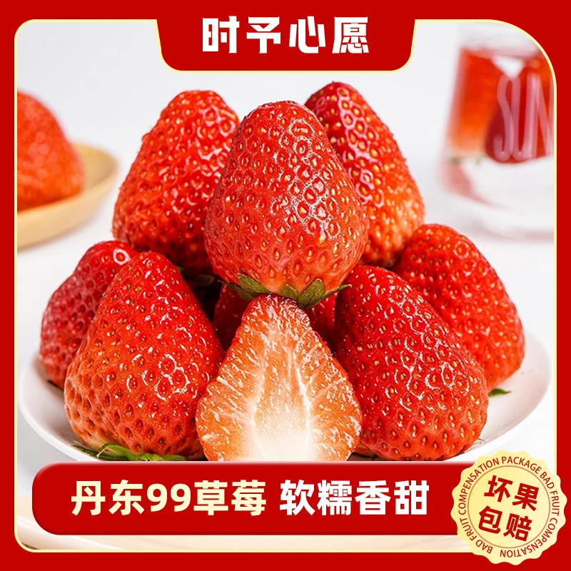 【时予心愿】丹东99草莓 X顺丰发货 新鲜水果产地直发现摘现发