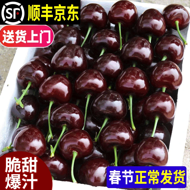 【正常发货】智利车厘子新鲜水果海运大樱桃KG礼盒1-4J 内附果径卡