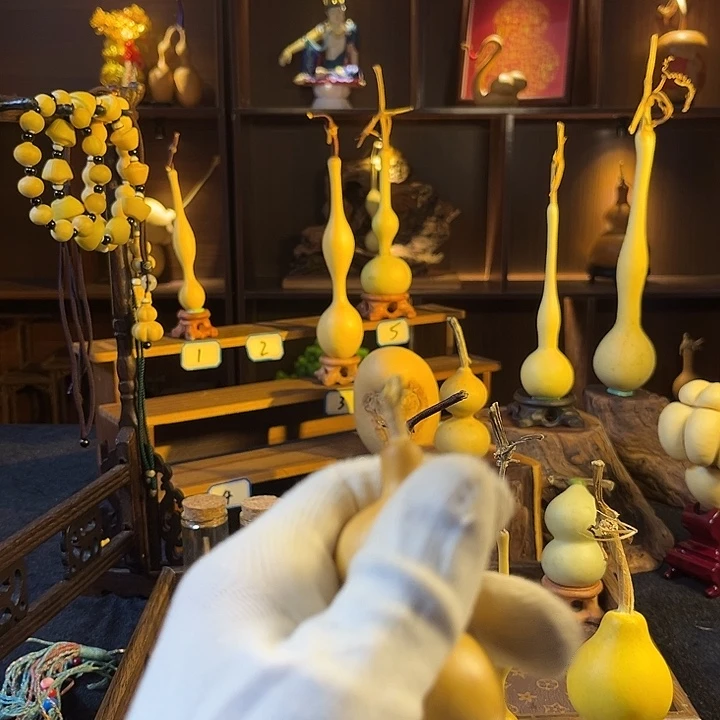 归***。我想和我朋友在贵阳做朋友呢