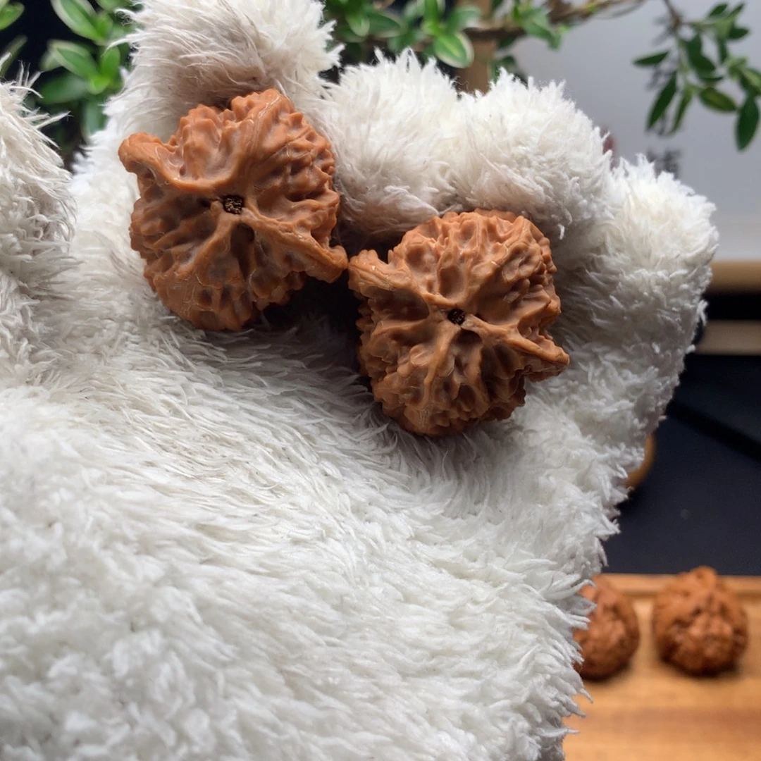 文玩核桃把件体验款苹果园38