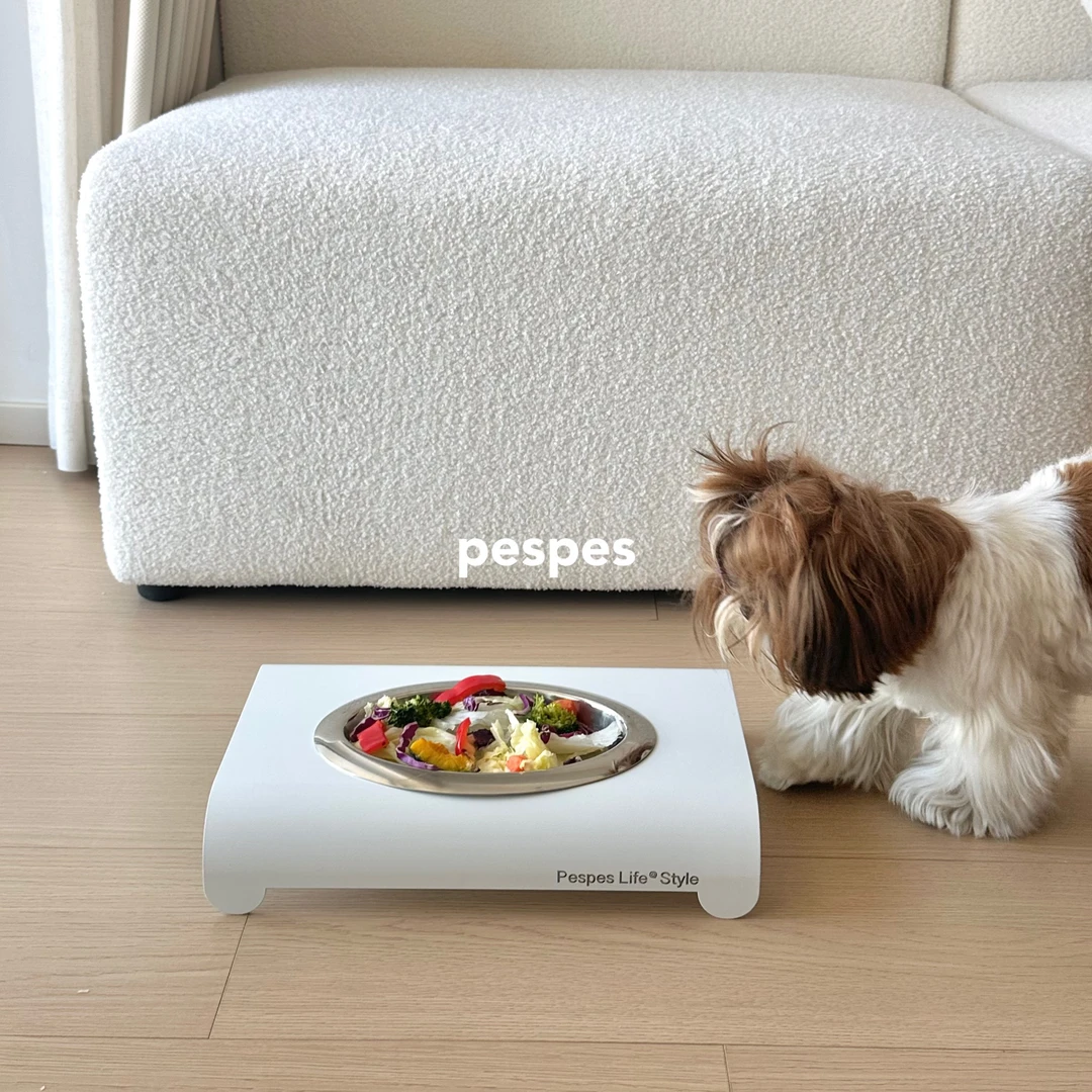 PesPes宠物猫狗小碗桌组合碗架不锈钢可拆洗狗狗宠物碗零食水碗