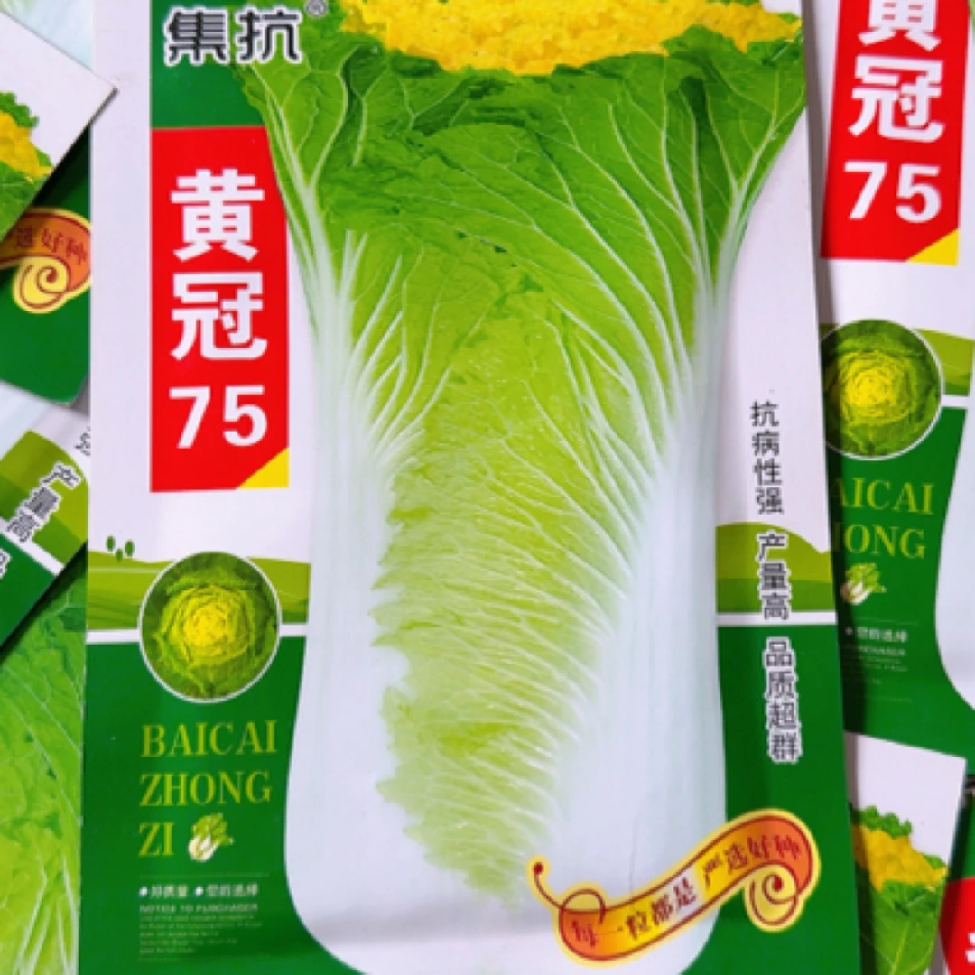 黄冠75 三系杂交黄心高装白菜种子