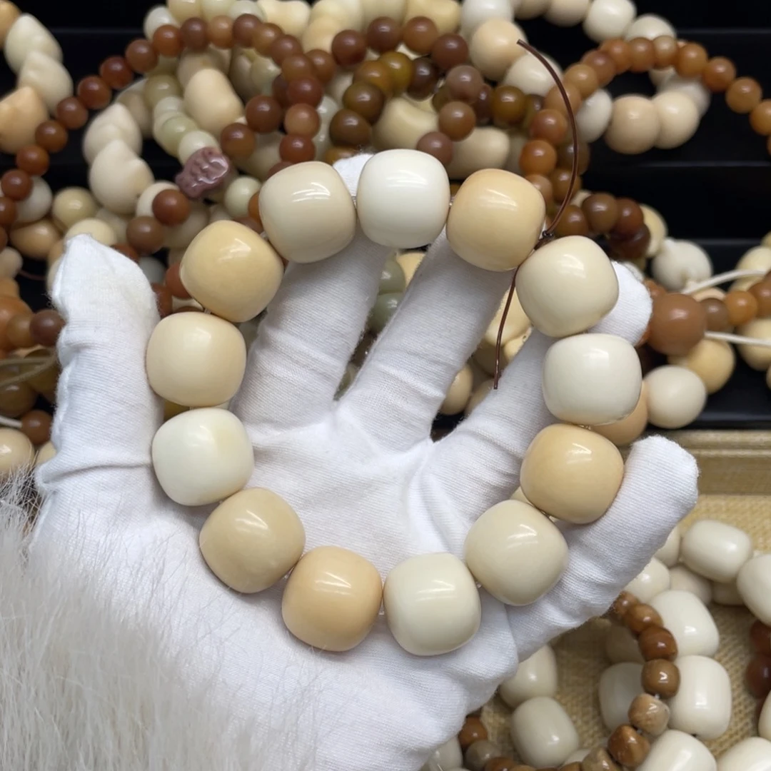 菩提根/象牙果吊坠20干磨微瑕牙果多宝桶251