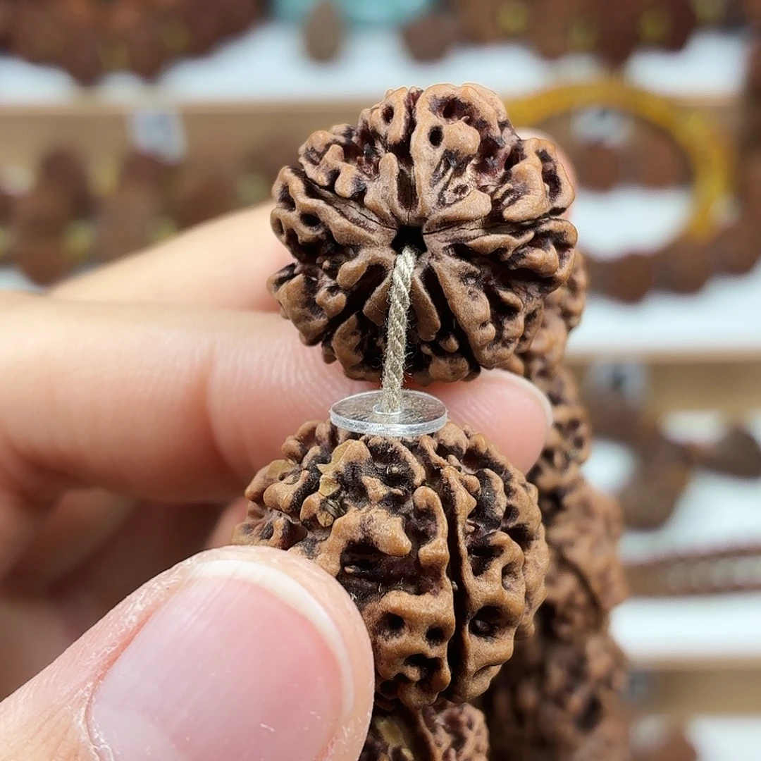 手串金刚菩提稀有精品梅花黄色铁籽大尺寸