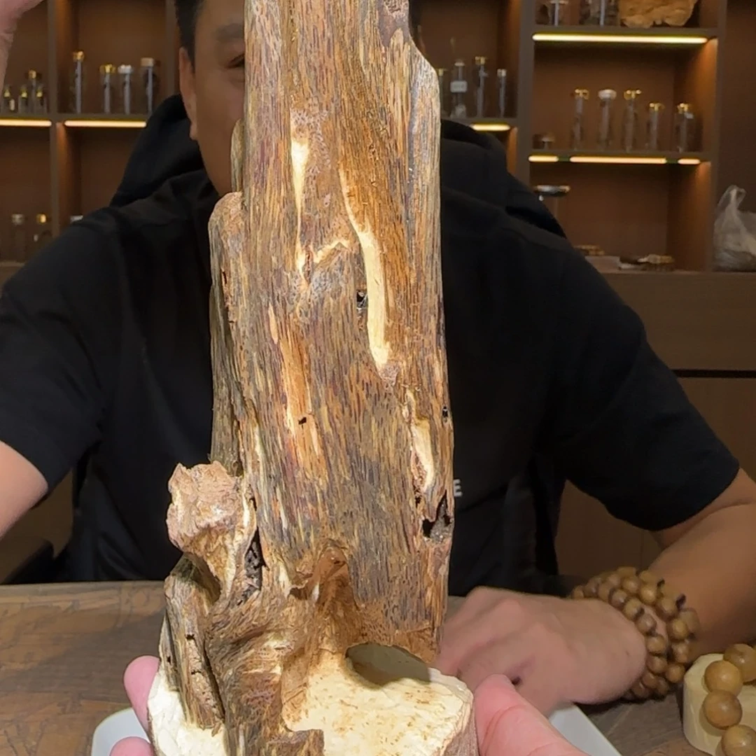 沉香摆件金沙叶母树虫漏195g摆件