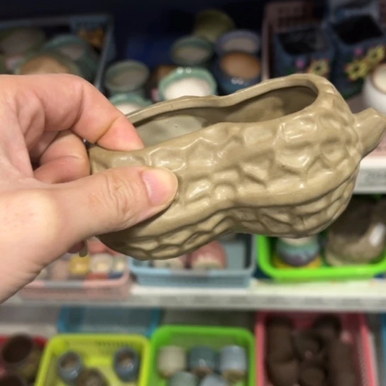 ［所有订单凑满15明天发］10×3×5