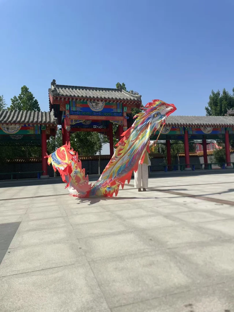 格曼新款7米酷炫龙健身表演舞龙甩龙龙衣
