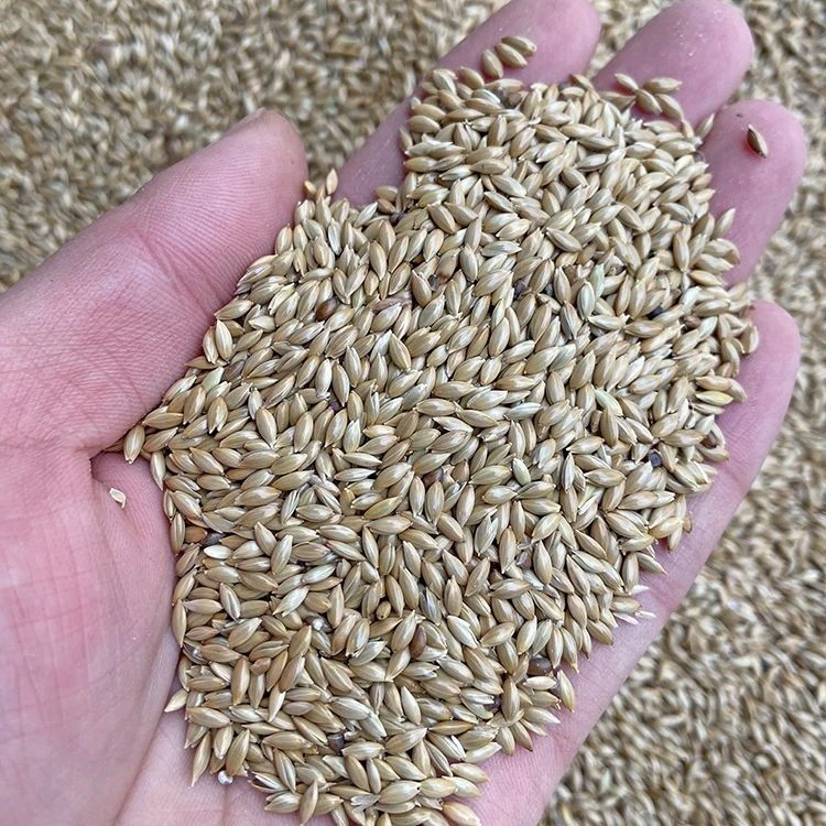 精品加纳例子鹦鹉鸟粮牡丹玄风虎皮小太阳和尚鹦鹉粮颗粒饱满