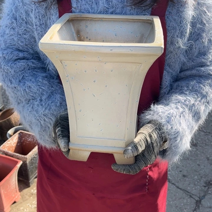 口20高27正品正品