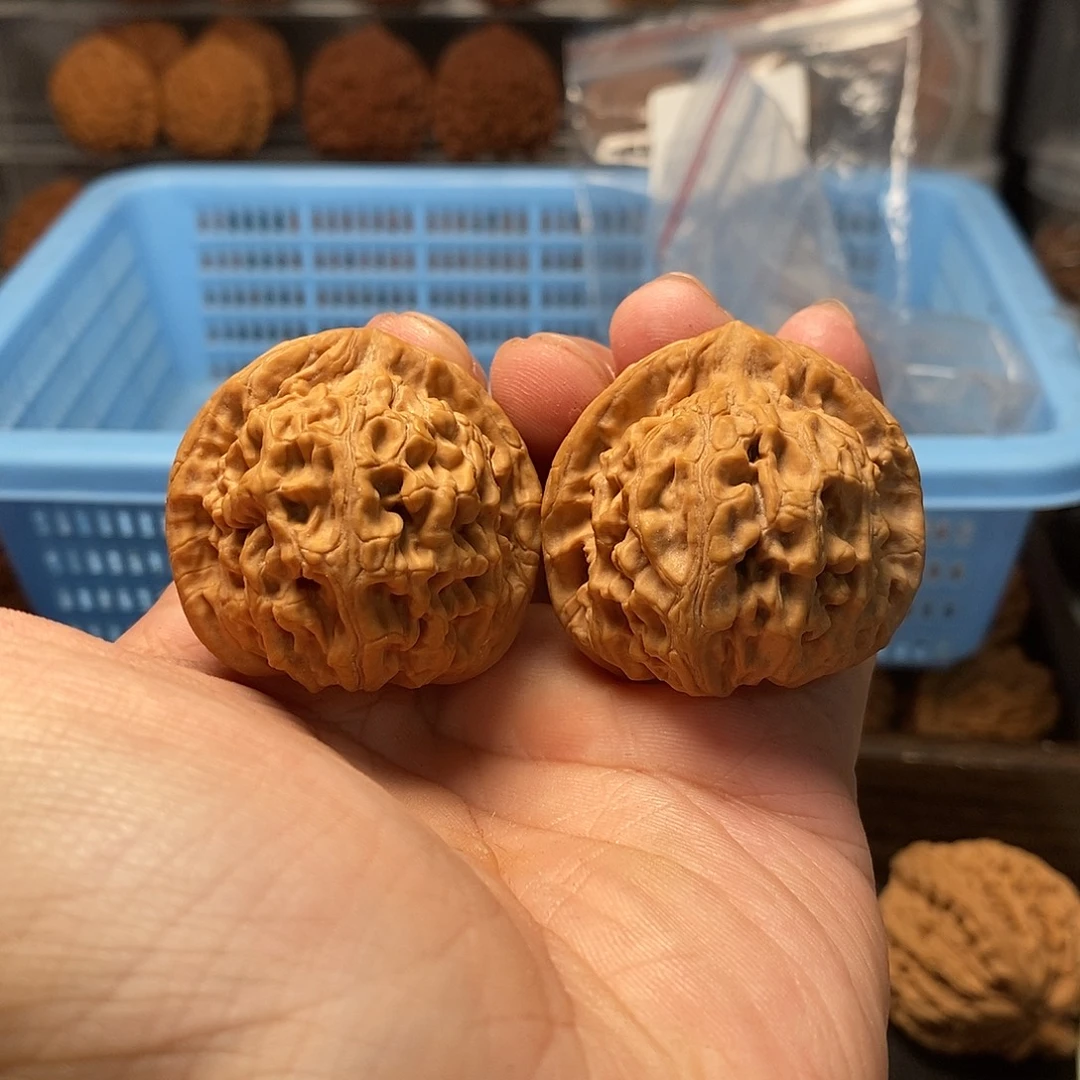 1文玩核桃天地38-486