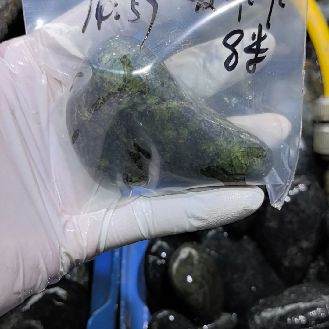 爱***谁藏玉药王石原石一个
