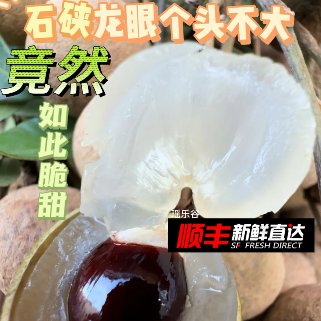 顺丰快递 平南石硖龙眼比储良龙眼果小 滋补脆甜