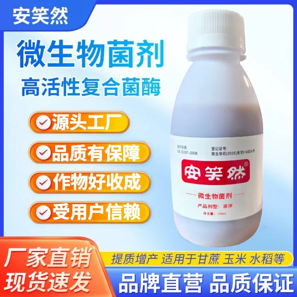 【甘蔗】安笑然微生物菌剂促苗壮根甘蔗水稻农田适用
