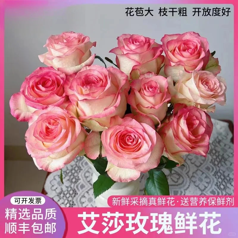 热卖【未醒的朝颜】10枝艾莎玫瑰·两单鲜花顺丰包邮·基地直发