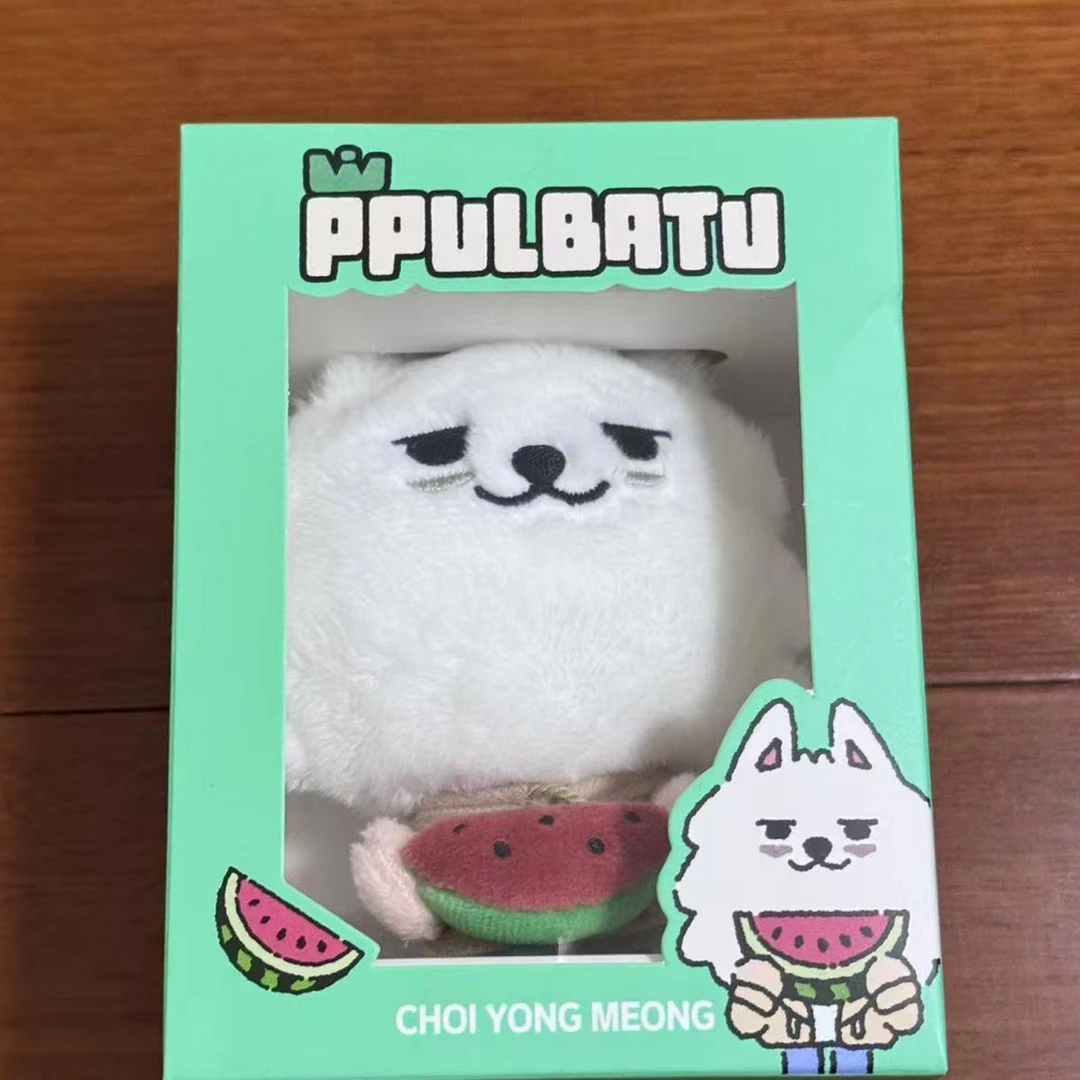 TXT 日本快闪 西瓜娃 正品 周边
