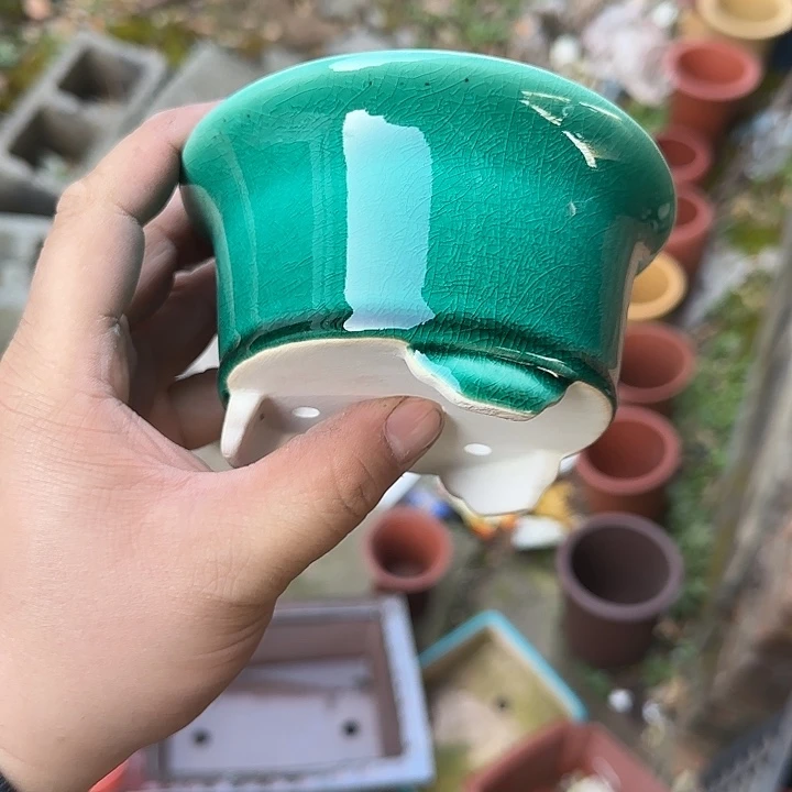 这里不方便吗不敢说话不给发消息