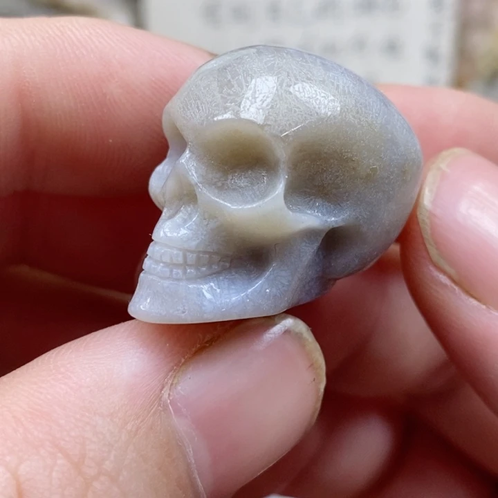 颈饰未镶嵌硅化珊瑚（珊瑚玉）没打孔 小