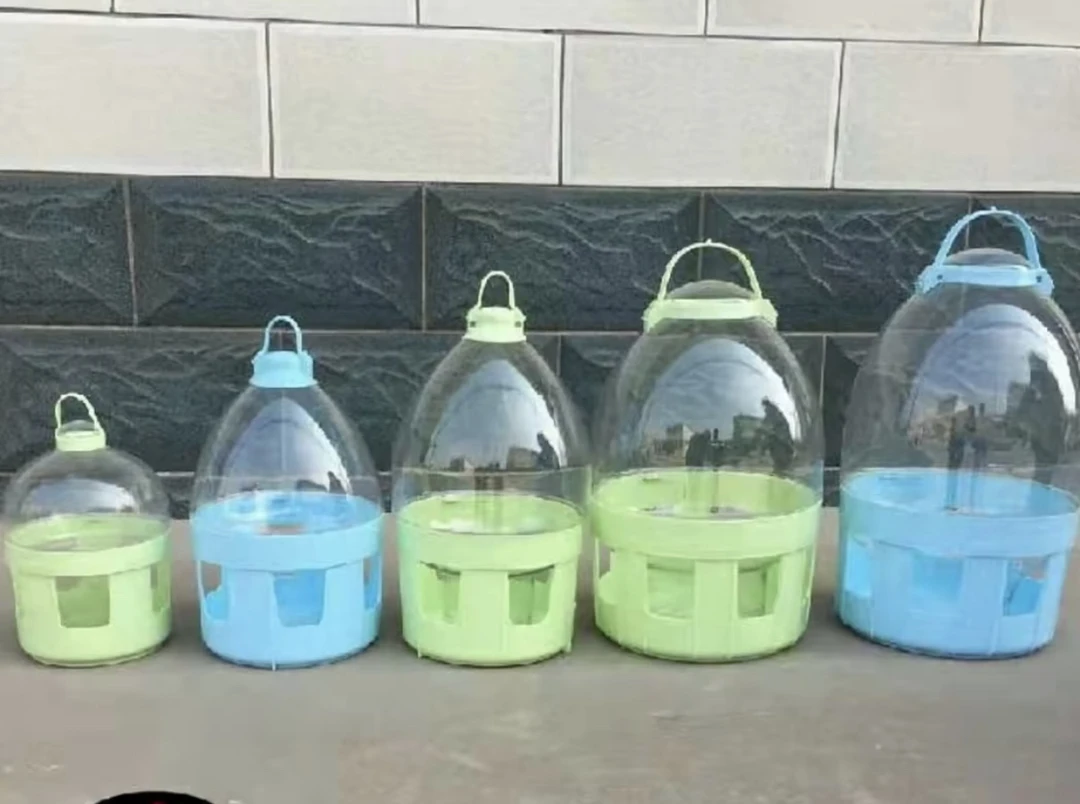 鸽子饮水器鸽子水壶