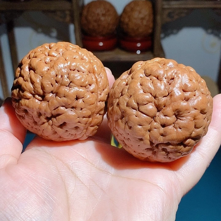 野生三瓣脑纹大金刚50正圆