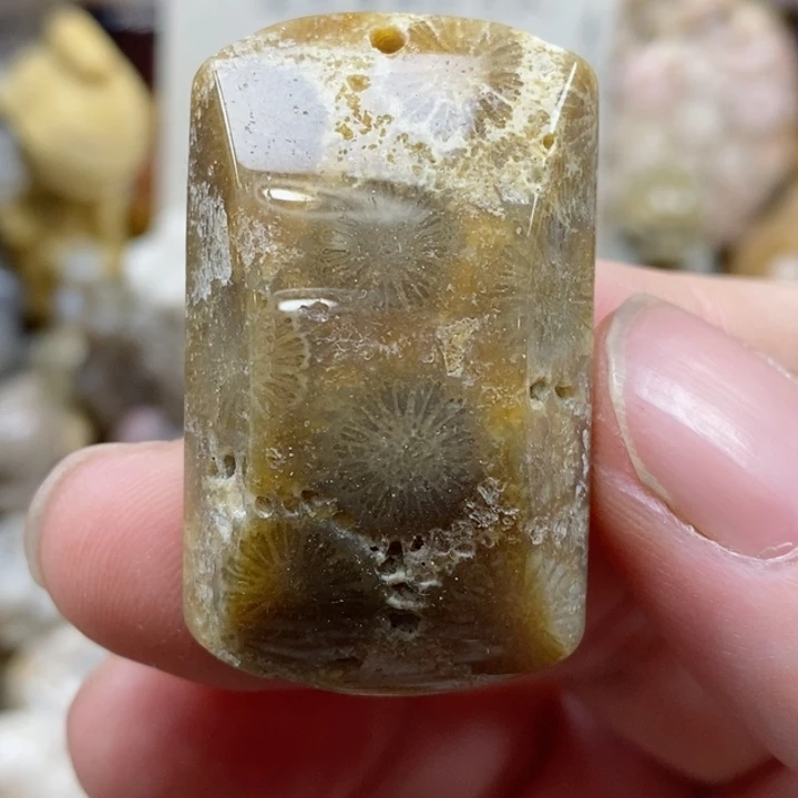 颈饰未镶嵌硅化珊瑚（珊瑚玉）有瑕 小