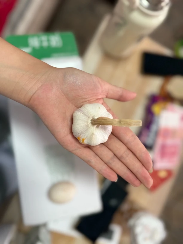 中果中果正宗紫皮大蒜新鲜干蒜爆香提味蒜种农产品