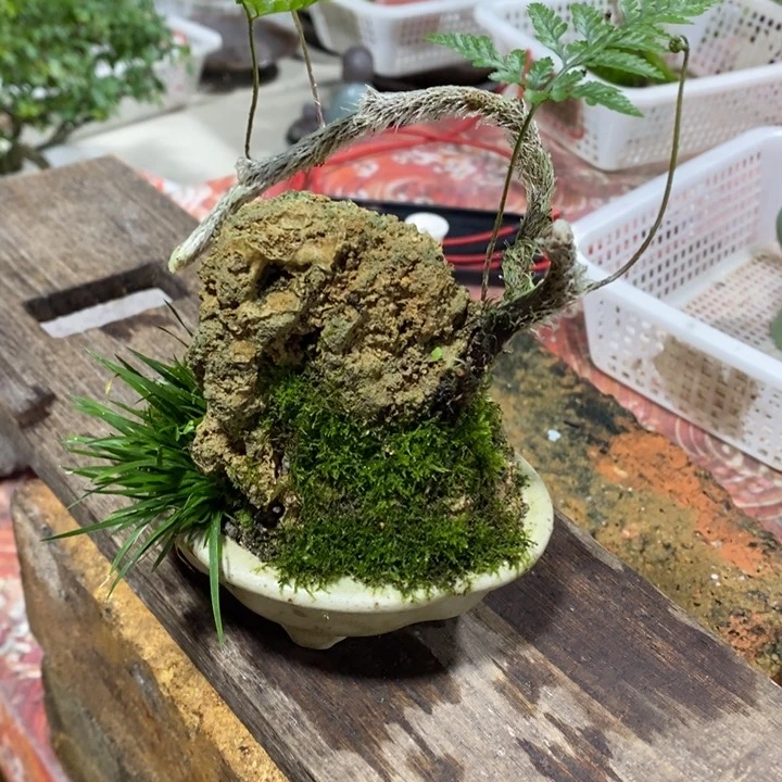 ?****果退款拉黑一物一拍242