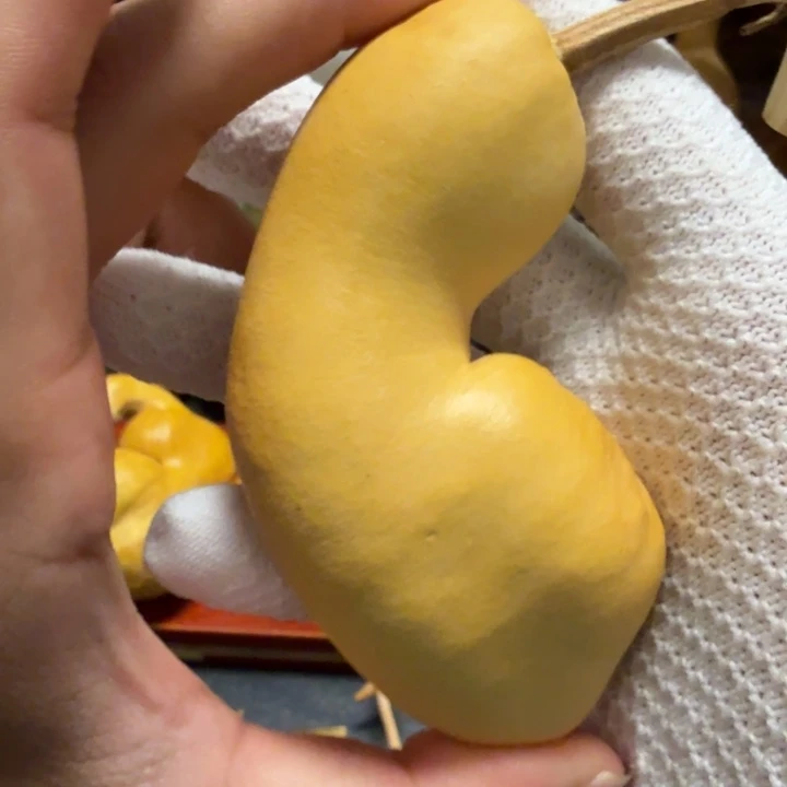 ～****666……………………………………