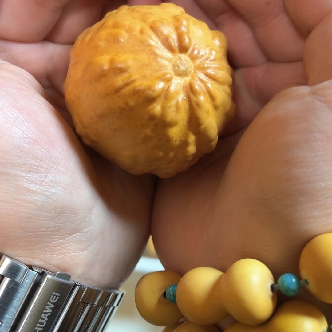 秀****9精品手把兰州疙瘩葫芦