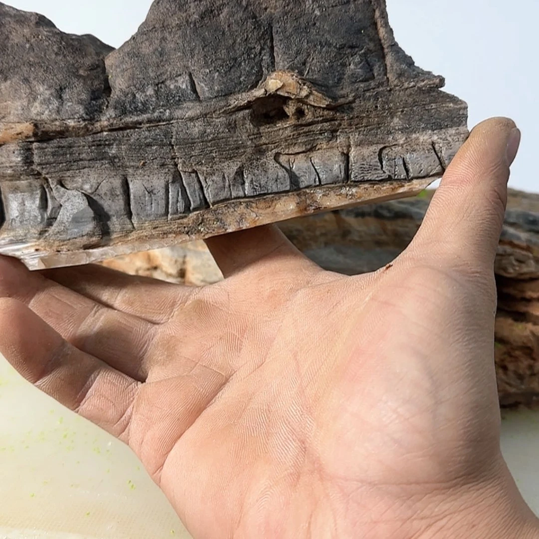 【闪购商品】香榧木机****静这样才可以的感觉真的好