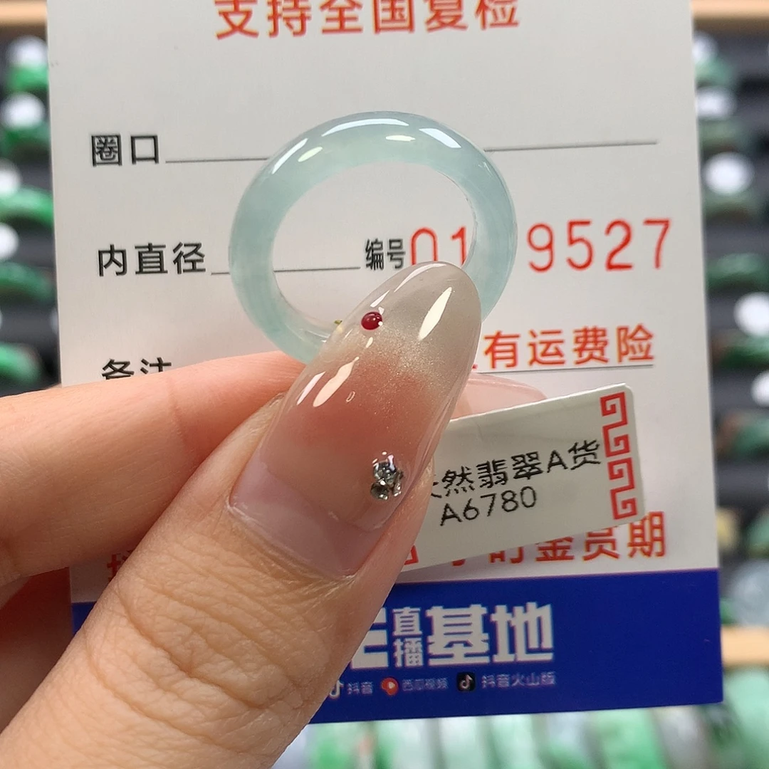 翡翠未镶嵌颈饰15