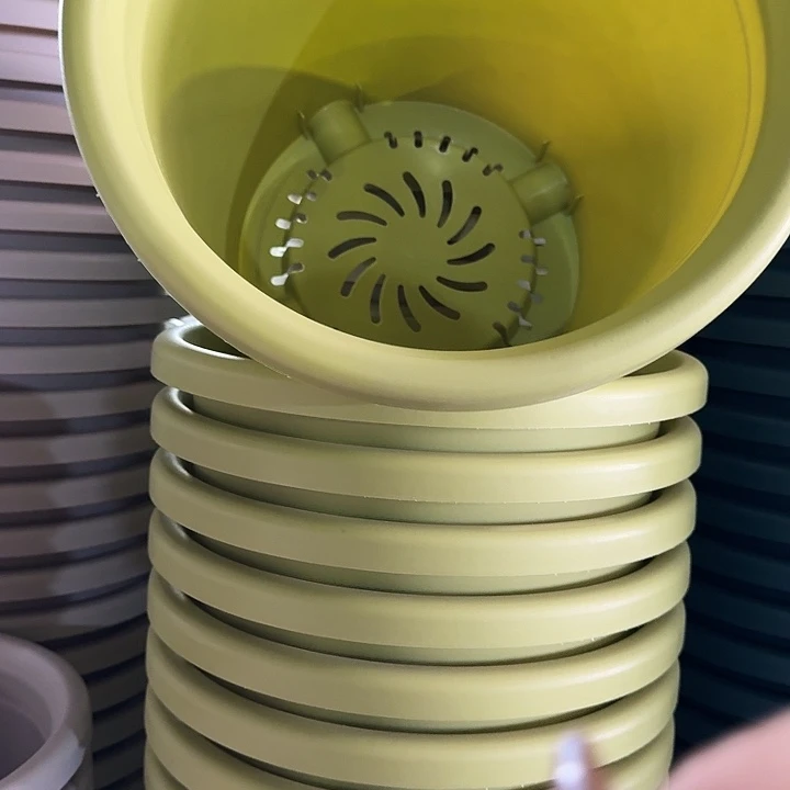 四季7号果绿无托6个特价微瑕
