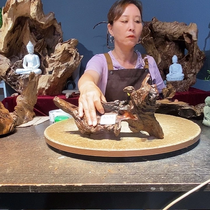 ﻩ***ﻩ516株木随行的小根艺