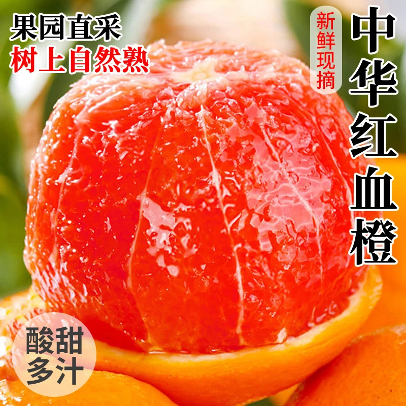 誉福园正宗中华红橙时令鲜果果冻春季橙子当季新鲜水果坏果包赔