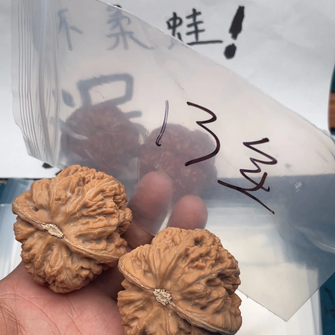 核桃86.357537537537573573