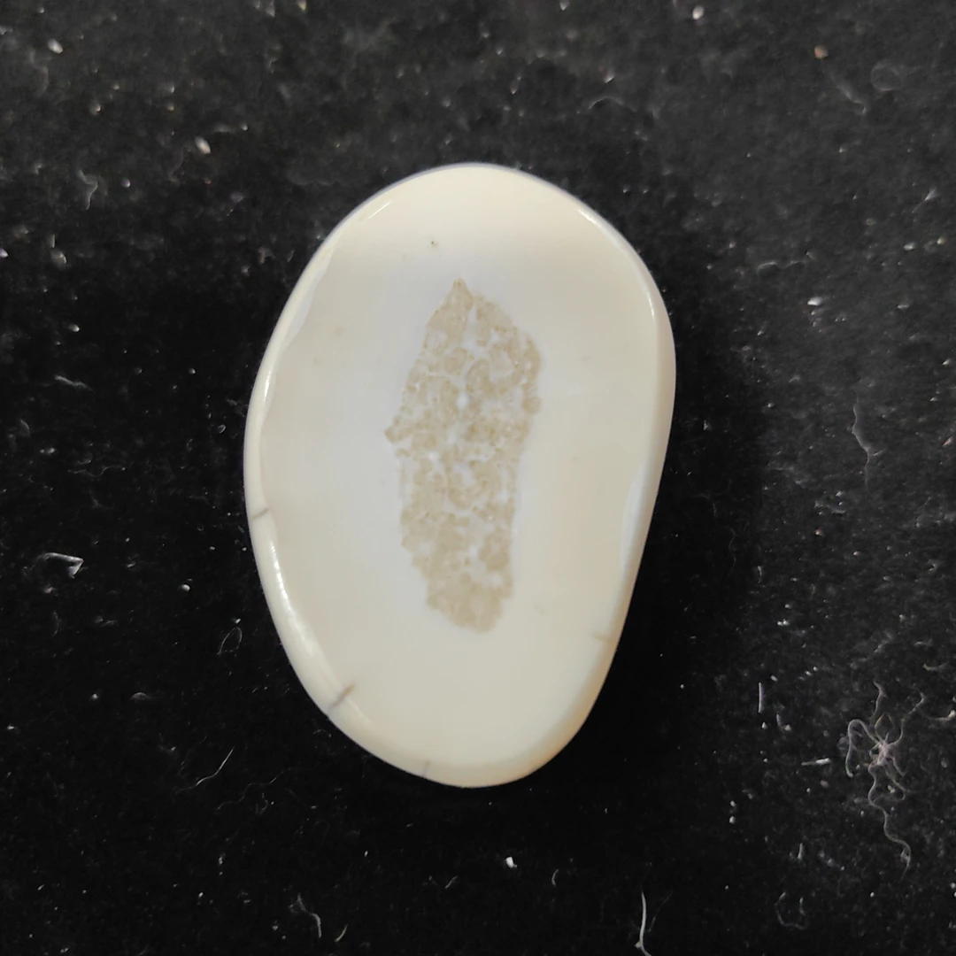 猛犸猛犸虬饼子WW53