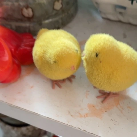 【闪购商品】缸摆件摆件摆件摆件摆件不