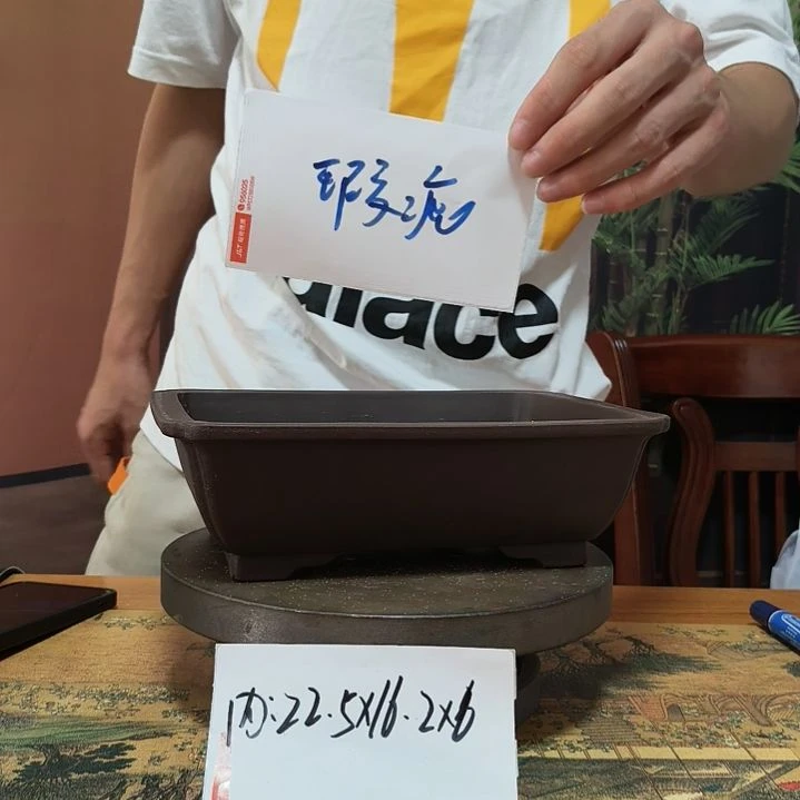 来来来啦咯啦咯啦咯