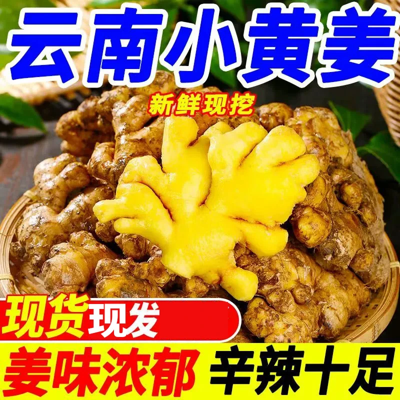 云南新鲜现挖小黄姜老姜香味浓郁辛辣现挖现发山地种植产地直发q