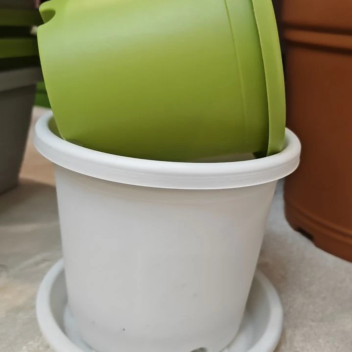 树脂四季盆外口径17，果绿白色带托各5个