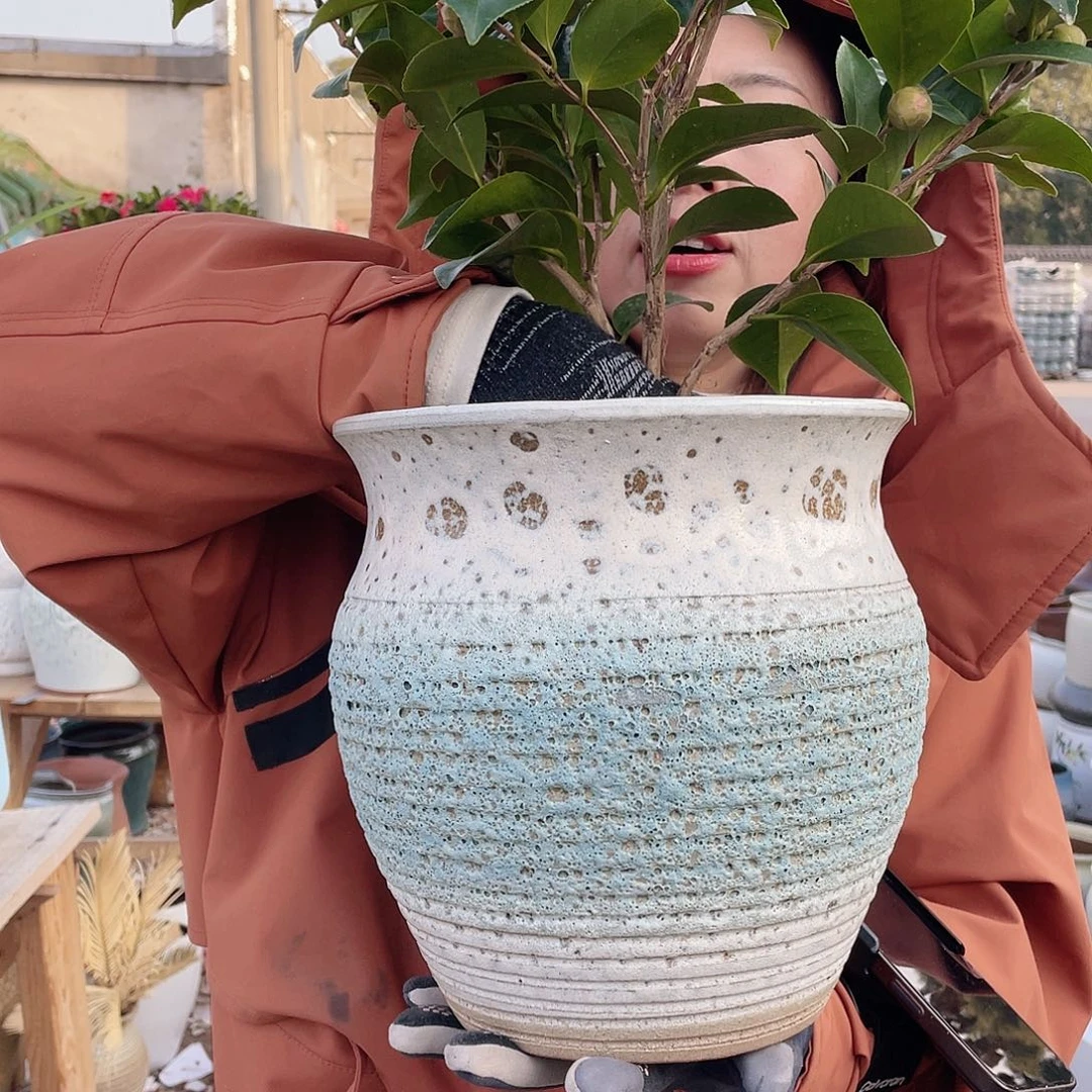 红陶王嫂花盆0218-五大蓝泡